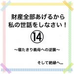 財産全部あげるから私の世話をしなさい！⑭